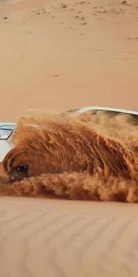 Abu Dhabi Desert Safari Experience